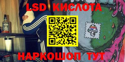 прущие грибы Тара