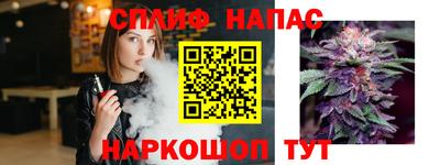 прущие грибы Тара