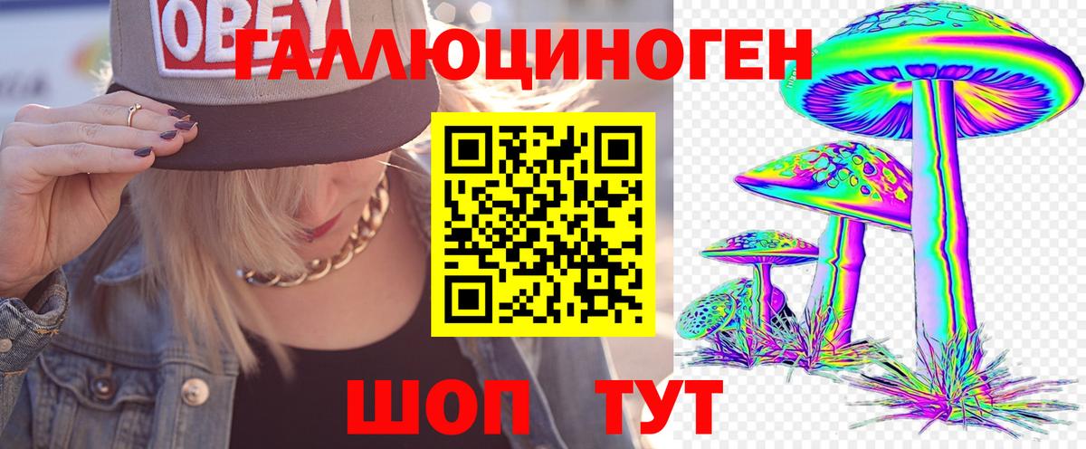 Галлюциногенные грибы Psilocybine cubensis  купить наркотики сайты  Псилоцибиновые грибы Cubensis  Полевской  Вход с VPN 